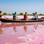 **

"Local Senegalese workers collecting salt from Lake Retba, the pink lake, in traditional boats. The water is vividly pink due to the Dunaliella salina algae. Safe for work, fully clothed, appropriate attire, perfect anatomy, natural proportions, daytime, sunny, clear sky, professional photography, high quality, family-friendly. The workers are covered in shea butter for protection. Modest clothing, hardworking environment."

**