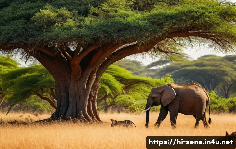 세네갈 야생동물 보호구역 - A vibrant scene inside Bandia National Park in Senegal, featuring a diverse group of wildlife includ...